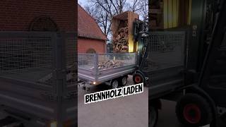 Brennholz laden 🔥shorts firewood [upl. by Eedia]