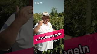 Die Heckenregeln Teil 2  Kleingartensheriff [upl. by Sayles432]