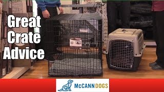 How To Choose A Crate For Your Dog [upl. by Yrannav]