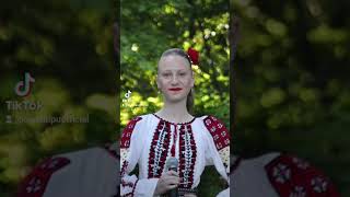 Moara cu noroc cover Viorica de la Clejani [upl. by Yrellav674]