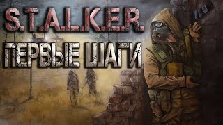 STALKER Первые шаги Аудиокнига [upl. by Gneh]