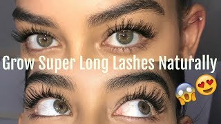 HOW TO GROW YOUR LASHES NATURALLY [upl. by Jed]