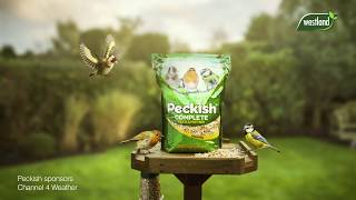 Peckish 2019 TV Sponsorship Channel 4 Weather Showreel [upl. by Nerad236]