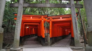 2024 JAPAN  The torii gatecovered hiking trail [upl. by Haslam]