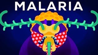 Genetic Engineering and Diseases – Gene Drive amp Malaria [upl. by Arlette889]