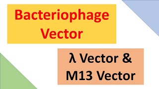 Bacteriophage Cloning Vector  Lambda phage amp M13 phage vector  ABT Gurukul [upl. by Eceirahs]