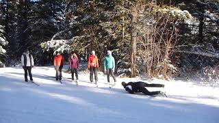 Beginner crosscountry ski lessons  falling over safely [upl. by Pepi296]