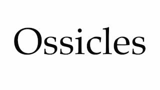 How to Pronounce Ossicles [upl. by Leesen741]