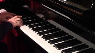 Robert Schumann quotKnecht Ruprecht Op68 No12quot  Stefano Bigoni piano [upl. by Adna]