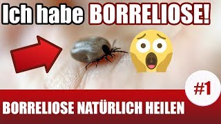 Ich habe Borreliose Borreliose Behandlung natürlich 1 [upl. by Atiniv]