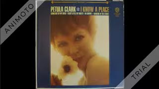 Petula Clark  You’re The One  1965 1st RECORDED HIT [upl. by Wycoff]