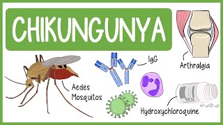 Chikungunya in 3 Minutes [upl. by Hembree]