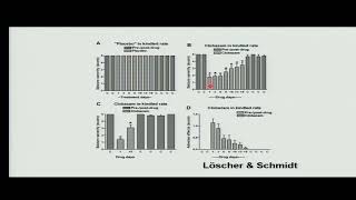 7 Estrategias para modelar la fármacoresistencia en Epilepsia Dra Luisa Rocha Arrieta [upl. by Sidwell]