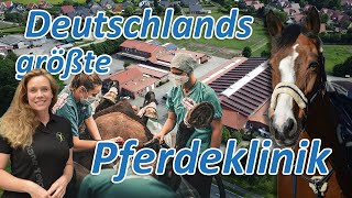 Deutschlands größte Pferdeklinik stellt sich Ariane Telgen  Mit 3 Pferden in die Pferdeorthopädie [upl. by Elroy]