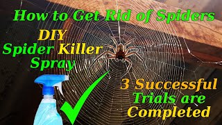 How to Get Rid of Spiders at Home [upl. by Ayrotal]