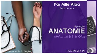 1 ANATOMIE  La myologie de lépaule et du bras par Mlle Alaa Feat AnwarBz [upl. by Tarttan]