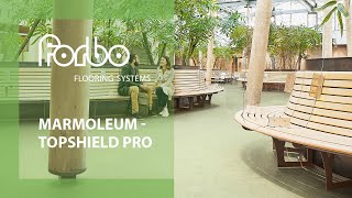 Marmoleum with Topshield pro surface finish  Forbo Flooring Systems [upl. by Goldston]