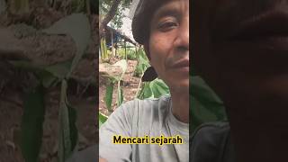 Mencari sejarah music budayanusantara instrumental [upl. by Kaasi]