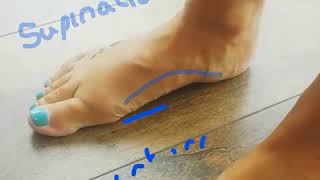 Pronation supination foot vid [upl. by Esela]