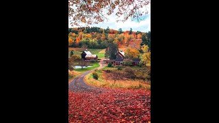 September Secrets in the garden fairyhouse pumpkinseason pumpkin pumpkinhouse inthegarden fall [upl. by Kcirdorb87]