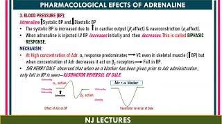 Adrenergic Drugs [upl. by Fulks]