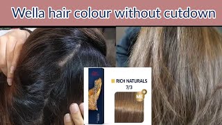 Wella hair colour  Hair colour at Home  Wella koleston how to use  Real Beauty Secrets [upl. by Ulita]