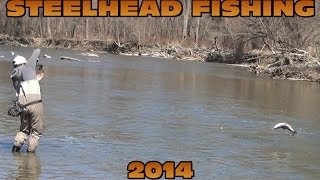 Steelhead Fishing Erie 2014 [upl. by Heriberto]