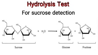 Hydrolysis Test for sucrose Knowledge Academy [upl. by Pepi753]