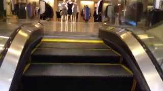 Schindler Escalators At Nordstrom Woodfield Mall In Schaumburg IL [upl. by Rasia]