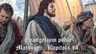 1428 BibleNový zákonEvangelium podle Matouše14Kapitola♥KetyJ♥ [upl. by Ahcas710]