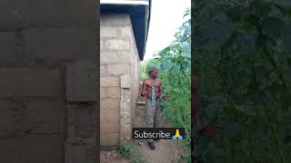 See creaton funny comedy video fypシ゚viral [upl. by Aiekam359]