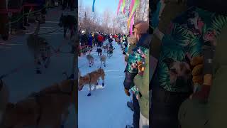 2023 Iditarod Ceremonial Start  Wade Marrs followed by Gregg Vitello [upl. by Schaumberger]