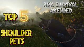 Top 5 Shoulder Pets Island Ark Survival Ascended [upl. by Eannyl]