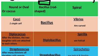 Botany  Eubacteria amp Archaebacteria [upl. by Retrac256]