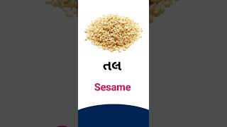 Sesame meaning in Gujarati  English dictionary [upl. by Hnaht712]