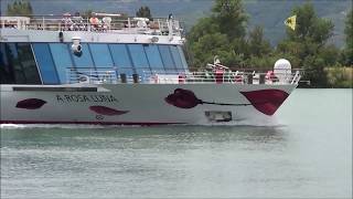 ARosa Cruises  ARosa Luna sul Rodano Avignone  Lione [upl. by Shelbi665]