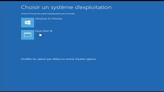 dualboot Windows 8 1 Linux mint 16 petra [upl. by Ramuk109]