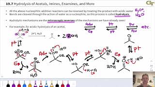 Hydrolysis Reactions Reversing Nucleophilic Additions to Ketohydes [upl. by Hoeg]