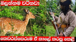 දඩබ්බර පාලිත තෙවරප්පෙරුම ඒ කාලේ කරපු කෙලි  palitha thewarapperuma [upl. by Evoy]