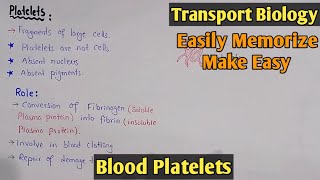 Blood Platelets  Thrombocytes  Blood Cells  Class 11 Biology [upl. by Atsillak553]