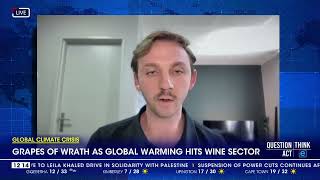 Grapes of wrath as global warming hits wine sector [upl. by Gibbie]