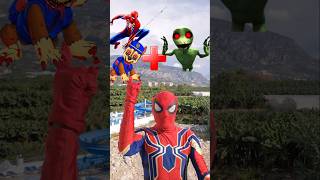 Spiderman and Chase Paw Patrol EXE  Dame Tu Cosita EXE  Marvel Animation [upl. by Kcirdes592]