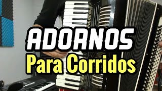 ADORNOS PARA CORRIDOS  TUTORIAL PARA ACORDEON DE TECLAS CORRIDOS [upl. by Dorcia]