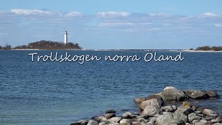 Trollskogen Norra Öland [upl. by Noseyt]