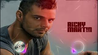 Ricky Martin  Relight My Fire Hex Hector amp Mac Quayle Club A Cappella [upl. by Juditha]