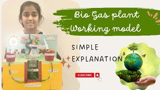 Bio Gas plant working Model simple explanation gobar gas  renewable energy [upl. by Rentsch126]