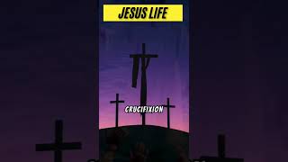 The Life of Jesus jesuschrist religiousfigure jesuslovesyou jesusislord jesussongs jesus [upl. by Deer]