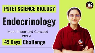 Endocrinology Part2  PSTET Science Preparation  Paper2 Biology  PSTET Science Biology Coaching [upl. by Wulfe]