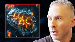 How to FIX Your Broken Mitochondria for Limitless Energy  Dr Ted Naiman [upl. by Sillig]