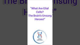 All about glial cells in 60 seconds glialcells neuroscience neurons [upl. by Kovar]